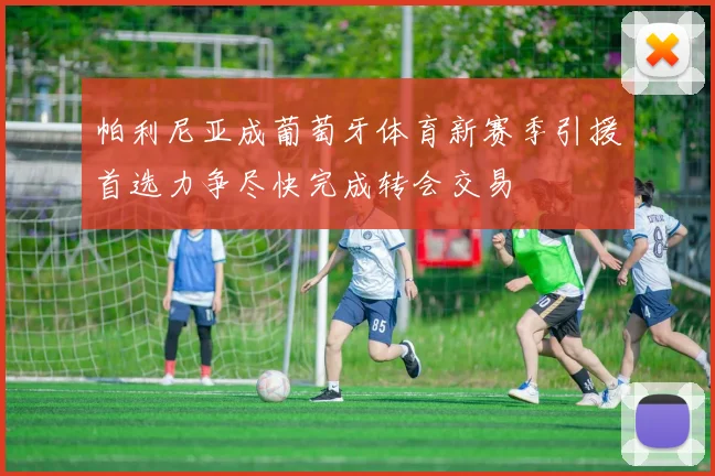 帕利尼亚成葡萄牙体育新赛季引援首选力争尽快完成转会交易