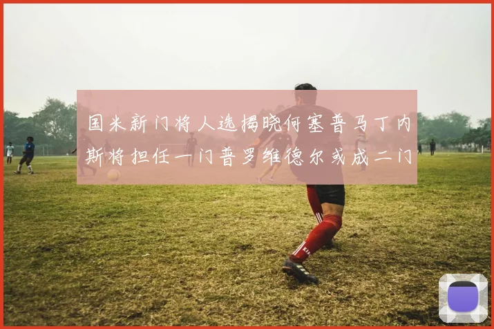 国米新门将人选揭晓何塞普马丁内斯将担任一门普罗维德尔或成二门